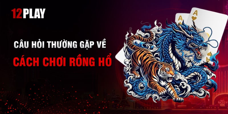 Giải Đáp Các Câu Hỏi Thường Gặp Khi Chơi Rồng Hổ