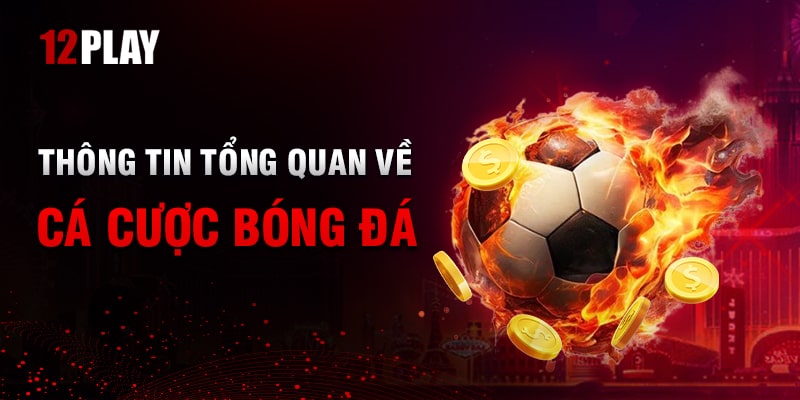 12Play không chỉ cung cấp một nền tảng cá cược an toàn