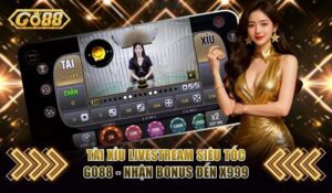 Người chơi có thể tận dụng các dữ liệu lịch sử để đưa ra quyết định cược hợp lý.